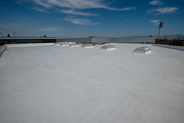 Best Chimney Flashing Repair  in Reno, NV