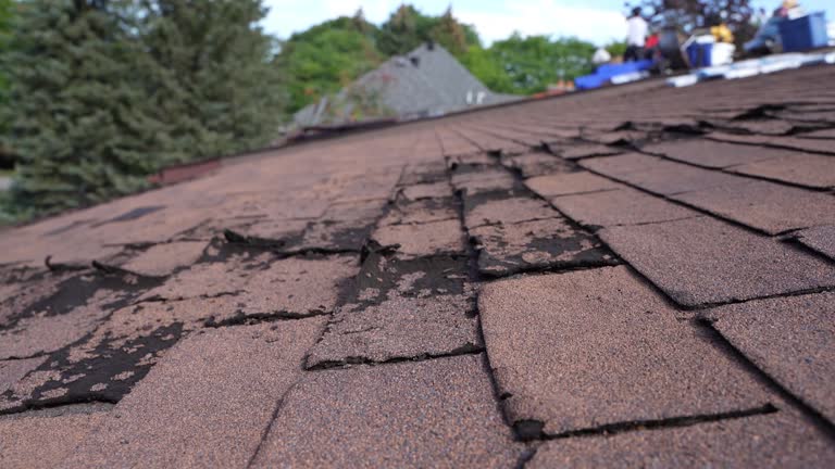 Best Rubber Roofing (EPDM, TPO)  in Reno, NV