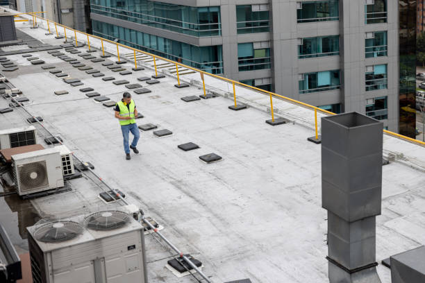 Best Roof Insulation Installation  in Reno, NV