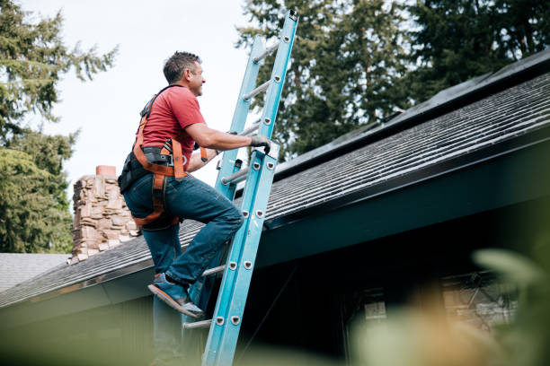 Best Asphalt Shingles Roofing  in Reno, NV
