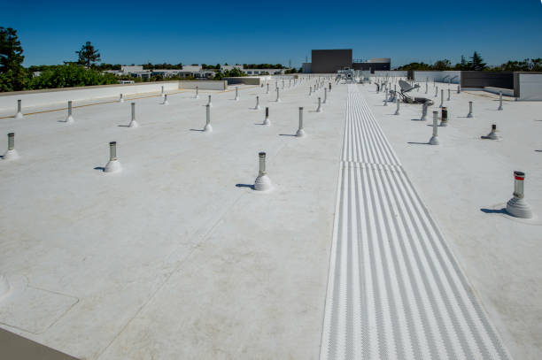 Best Rubber Roofing (EPDM, TPO)  in Reno, NV